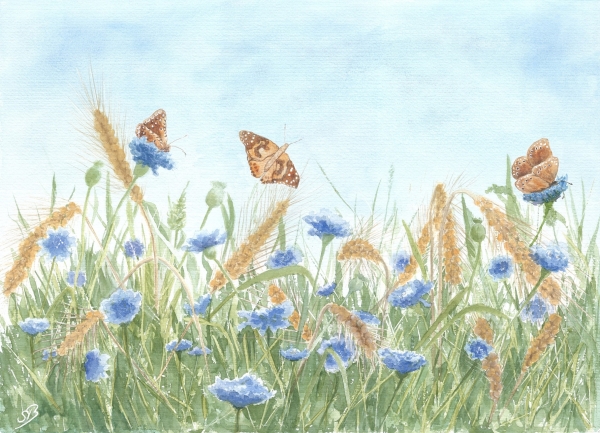 Postkarte DIN-A5 Aquarell Kunst Druck Kunstdruck Schmetterlinge Blumen Blumenwiese Wiese Schmetterling
